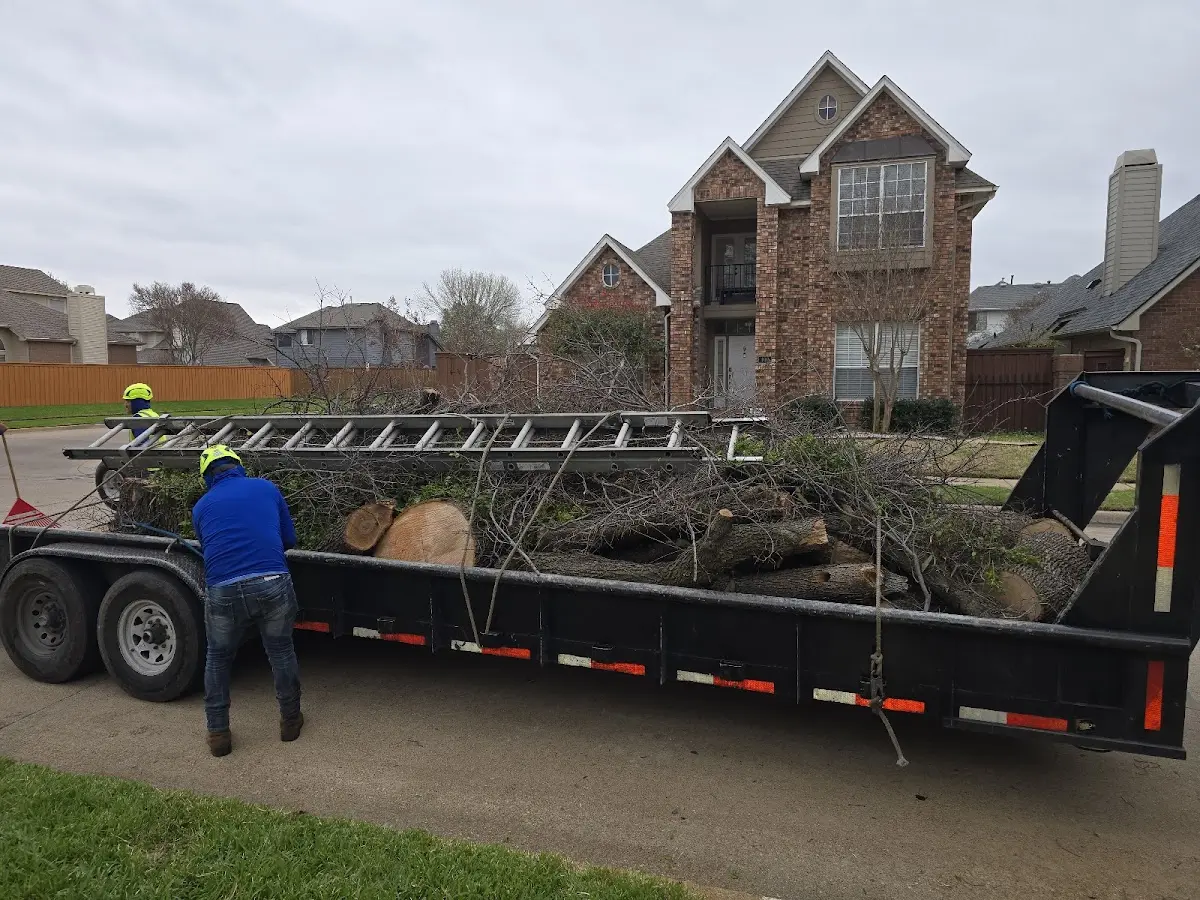 Expert Tree Removal with proper safety equipment in Perkins